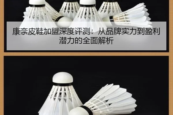 康奈皮鞋加盟深度评测：从品牌实力到盈利潜力的全面解析